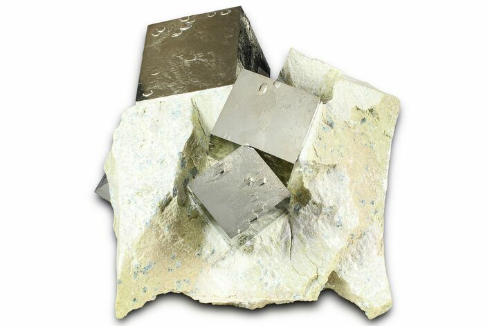 Museum Quality Pyrite Cube Cluster In Matrix - Spain #361788